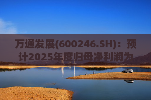 万通发展(600246.SH)：预计2025年度归母净利润为负值