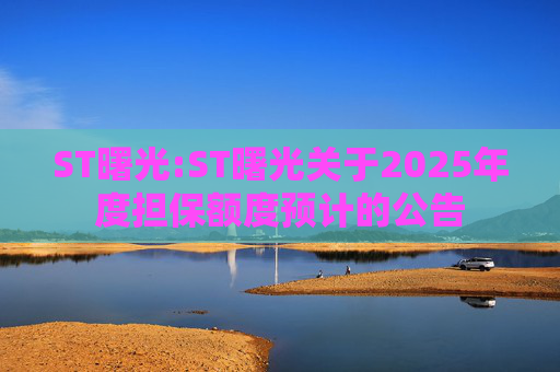 ST曙光:ST曙光关于2025年度担保额度预计的公告  第1张