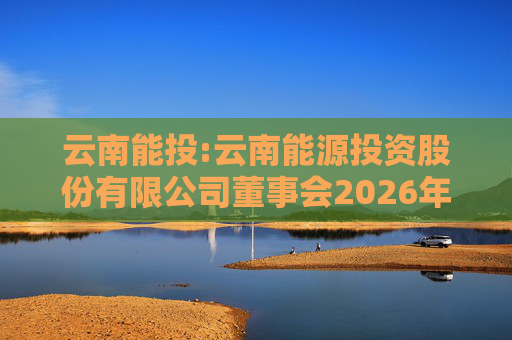云南能投:云南能源投资股份有限公司董事会2026年第一次临时会议决议公告
