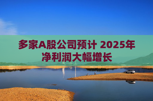 多家A股公司预计 2025年净利润大幅增长  第1张