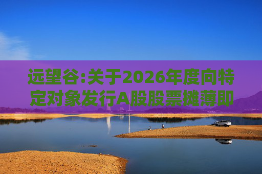 远望谷:关于2026年度向特定对象发行A股股票摊薄即期回报及填补措施和相关主体承诺的公告