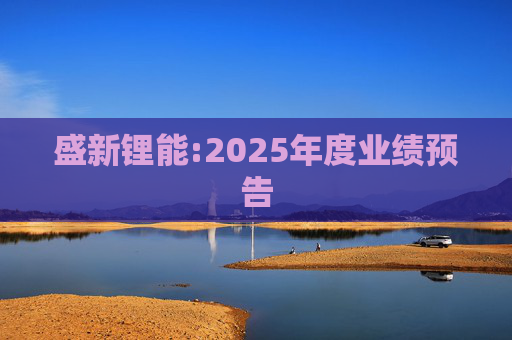盛新锂能:2025年度业绩预告