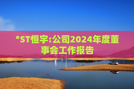 *ST恒宇:公司2024年度董事会工作报告  第1张