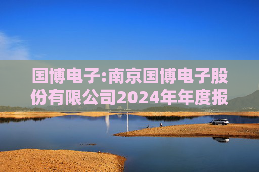 国博电子:南京国博电子股份有限公司2024年年度报告
