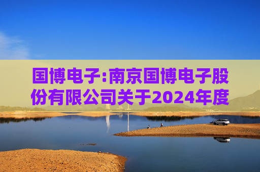 国博电子:南京国博电子股份有限公司关于2024年度募集资金存放与使用情况的专项报告  第1张