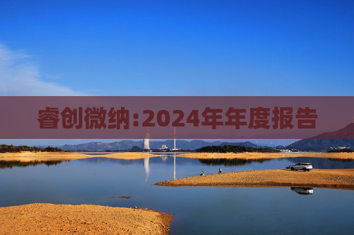 睿创微纳:2024年年度报告  第1张