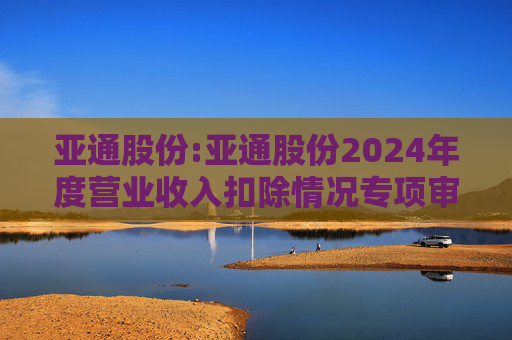 亚通股份:亚通股份2024年度营业收入扣除情况专项审核意见  第1张