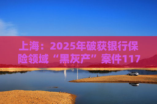 上海：2025年破获银行保险领域“黑灰产”案件117起 持续净化金融生态