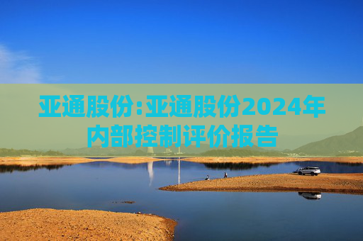 亚通股份:亚通股份2024年内部控制评价报告