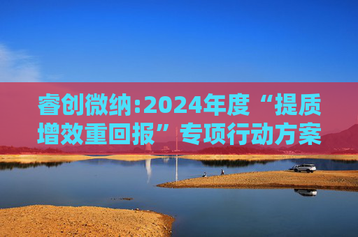 睿创微纳:2024年度“提质增效重回报”专项行动方案的评估报告暨2025年度“提质增效重回报”专项行动方案