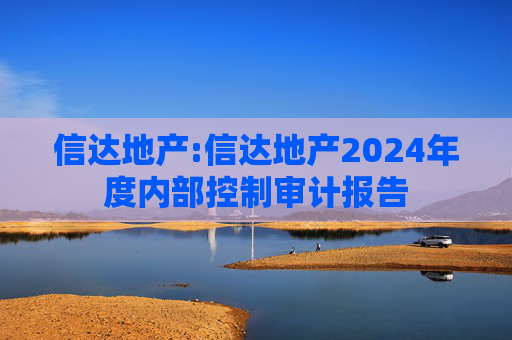 信达地产:信达地产2024年度内部控制审计报告