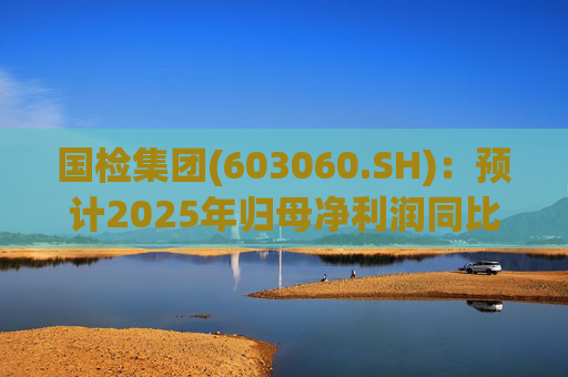 国检集团(603060.SH)：预计2025年归母净利润同比减少42.62%