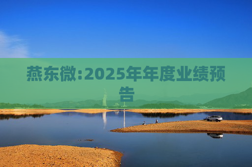 燕东微:2025年年度业绩预告