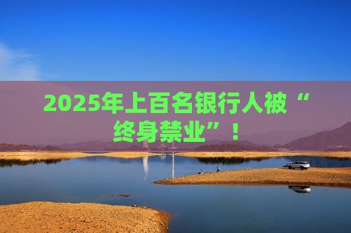 2025年上百名银行人被“终身禁业”！