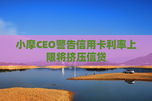 小摩CEO警告信用卡利率上限将挤压信贷