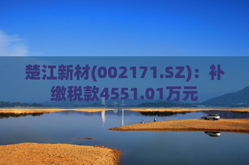 楚江新材(002171.SZ)：补缴税款4551.01万元
