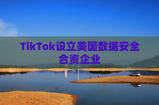TikTok设立美国数据安全合资企业
