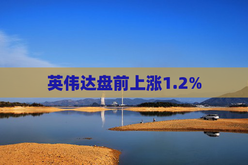 英伟达盘前上涨1.2%