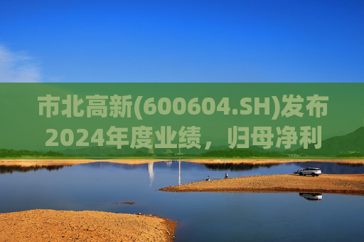 市北高新(600604.SH)发布2024年度业绩,归母净利润3053万元,同比扭亏为盈 第1张 市北高新(600604.SH)发布2024年度业绩,归母净利润3053万元,同比扭亏为盈 第1张