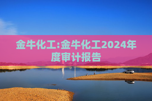 金牛化工:金牛化工2024年度审计报告