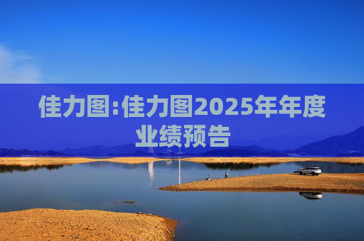 佳力图:佳力图2025年年度业绩预告