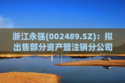 浙江永强(002489.SZ):拟出售部分资产暨注销分公司 第1张 浙江永强(002489.SZ):拟出售部分资产暨注销分公司 第1张