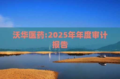 沃华医药:2025年年度审计报告  第1张