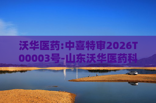 沃华医药:中喜特审2026T00003号-山东沃华医药科技股份有限公司-关联资金占用报告