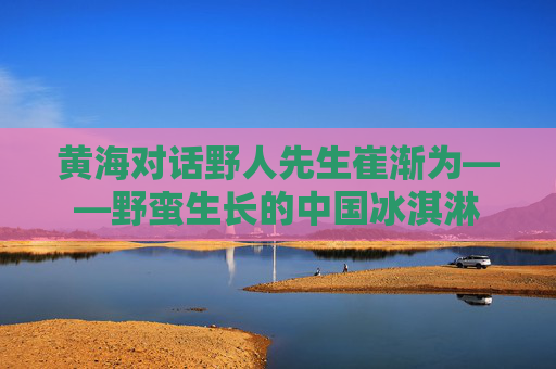 黄海对话野人先生崔渐为——野蛮生长的中国冰淇淋