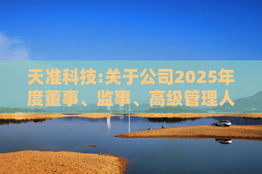 天准科技:关于公司2025年度董事、监事、高级管理人员薪酬方案的公告  第1张