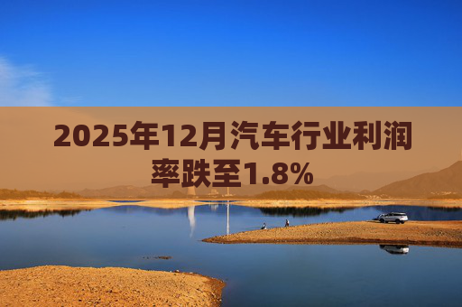 2025年12月汽车行业利润率跌至1.8% 第1张 2025年12月汽车行业利润率跌至1.8% 第1张