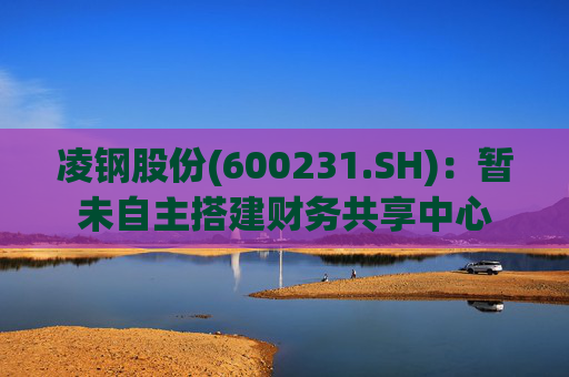 凌钢股份(600231.SH)：暂未自主搭建财务共享中心