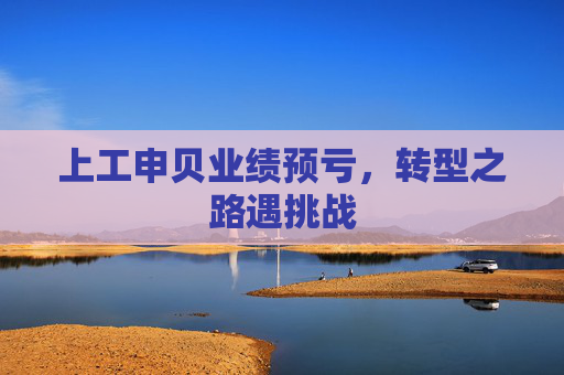 上工申贝业绩预亏，转型之路遇挑战  第1张