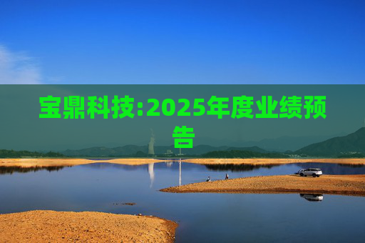 宝鼎科技:2025年度业绩预告