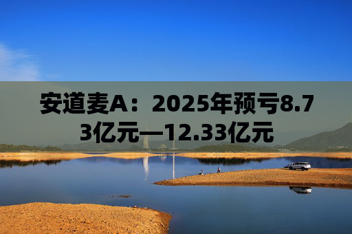安道麦A：2025年预亏8.73亿元—12.33亿元