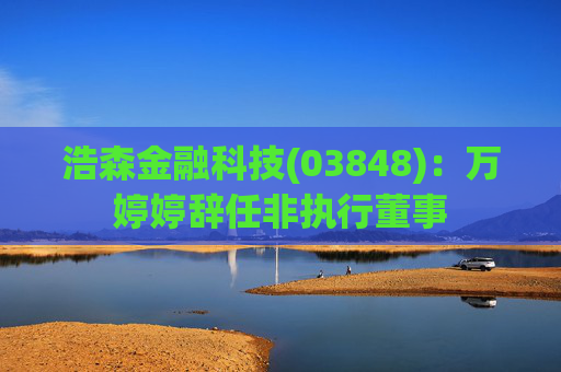 浩森金融科技(03848)：万婷婷辞任非执行董事