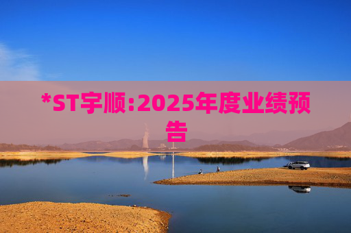 *ST宇顺:2025年度业绩预告