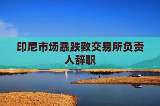 印尼市场暴跌致交易所负责人辞职