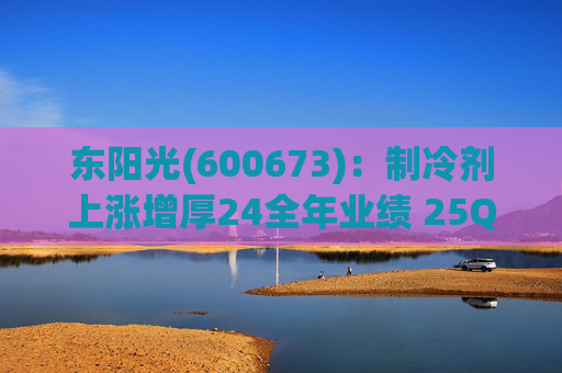 东阳光(600673)：制冷剂上涨增厚24全年业绩 25Q1业绩略超预期 液冷与具身智能共创未来