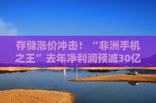 存储涨价冲击！“非洲手机之王”去年净利润预减30亿元