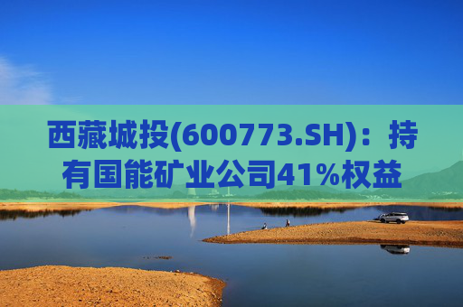 西藏城投(600773.SH)：持有国能矿业公司41%权益