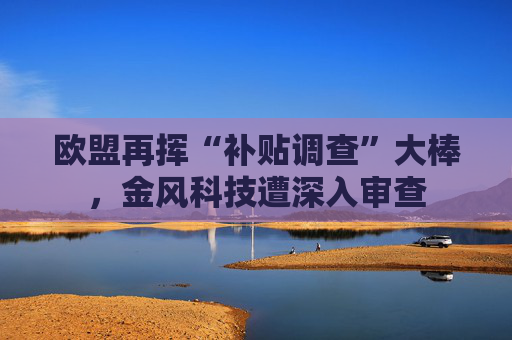 欧盟再挥“补贴调查”大棒,金风科技遭深入审查