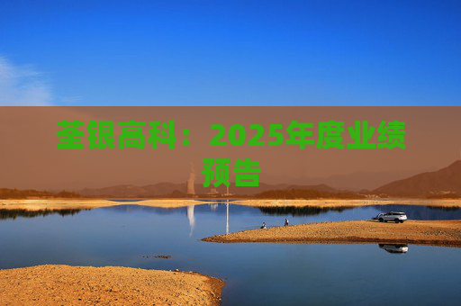 荃银高科：2025年度业绩预告  第1张