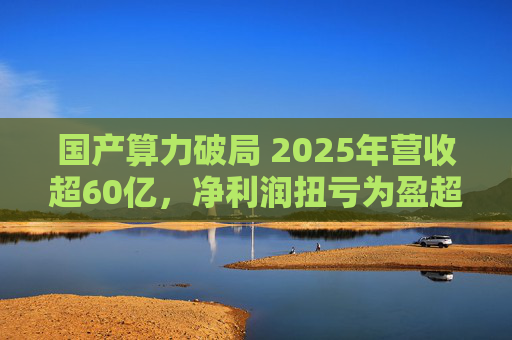 国产算力破局 2025年营收超60亿，净利润扭亏为盈超18亿