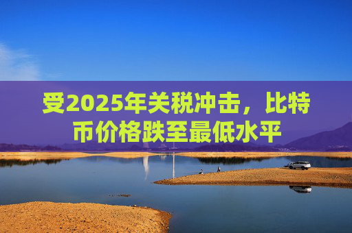 受2025年关税冲击，比特币价格跌至最低水平