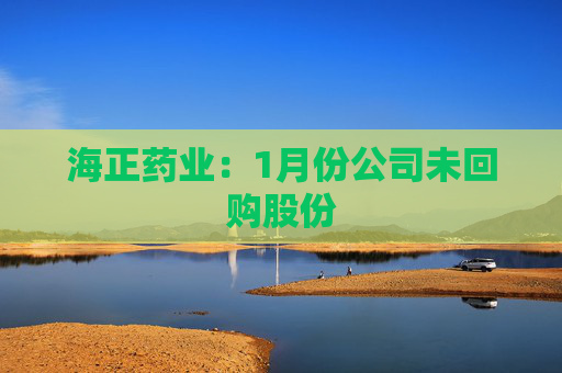 海正药业:1月份公司未回购股份