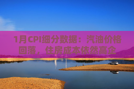 1月CPI细分数据：汽油价格回落，住房成本依然高企