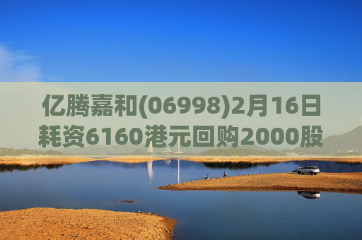 亿腾嘉和(06998)2月16日耗资6160港元回购2000股