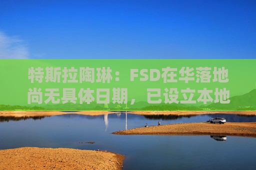 特斯拉陶琳：FSD在华落地尚无具体日期，已设立本地训练中心