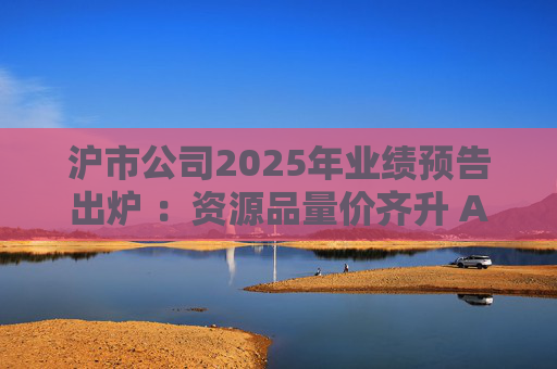 沪市公司2025年业绩预告出炉 ：资源品量价齐升 AI链景气延续